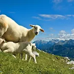 Tourist Farm Kranjc Agroturismo Kobarid