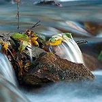 Tourist Farm Kranjc * Kobarid