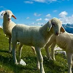 Tourist Farm Kranjc