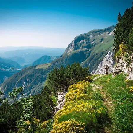 팜스테이 Tourist Farm Kranjc