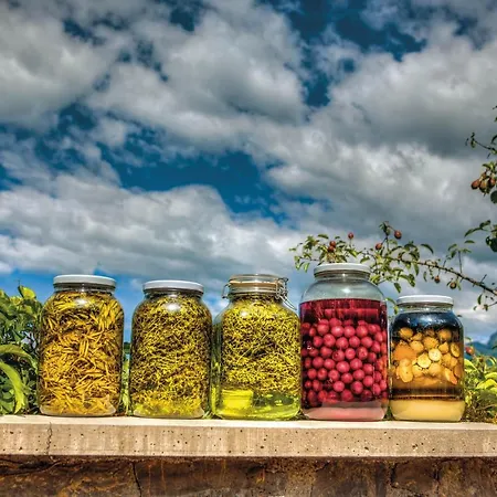 Фермерский дом Tourist Farm Kranjc Кобарид