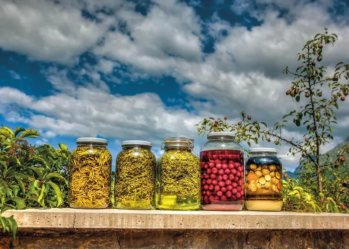 农家乐 克兰杰克观光农场农家乐 科巴里德