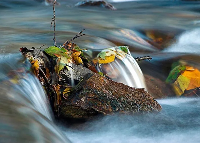 Tourist Farm Kranjc * Kobarid
