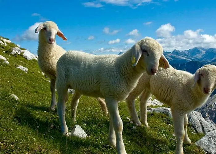 克兰杰克观光农场农家乐